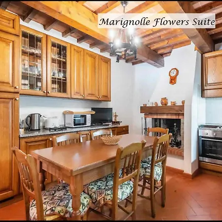 Ferienhaus Marignolle Flowers *